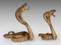 Two cold-painted vienna bronze cobras by franz xavier bergmann (1861-1936), h 10-12,5 cm - afbeelding 7 van  10
