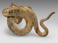 Two cold-painted vienna bronze cobras by franz xavier bergmann (1861-1936), h 10-12,5 cm - afbeelding 8 van  10