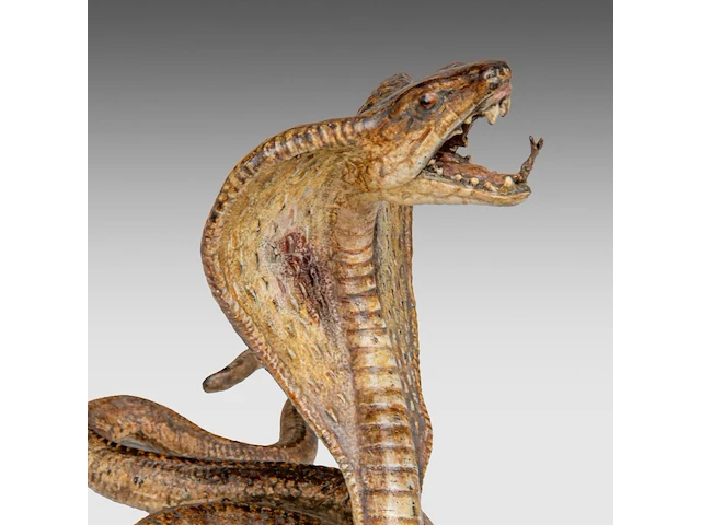 Two cold-painted vienna bronze cobras by franz xavier bergmann (1861-1936), h 10-12,5 cm - afbeelding 10 van  10