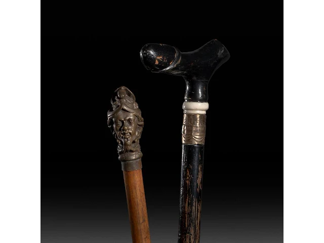 Two interesting erotic walking sticks with erotic handles - afbeelding 1 van  9