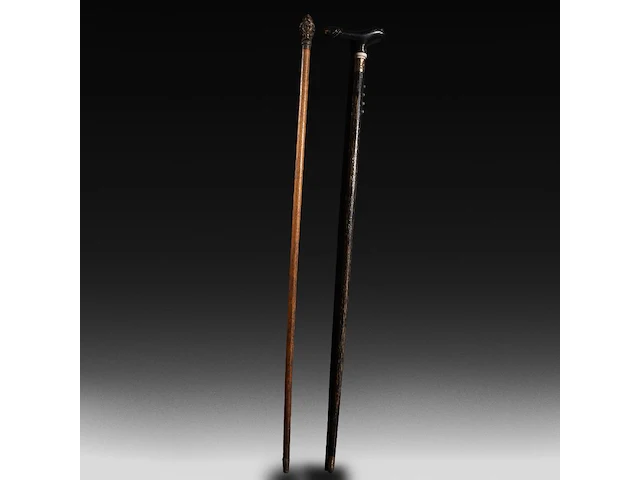 Two interesting erotic walking sticks with erotic handles - afbeelding 9 van  9