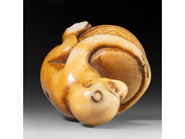 Two japanese ivory netsuke of a karako with a puppy and of a monkey with a drum, edo period, h 3,5 cm - w 3,5 cm - d 1,6 cm - 13g / h 3,5 cm - w 2 cm - d 2,5 cm - 12g (+) - afbeelding 13 van  15