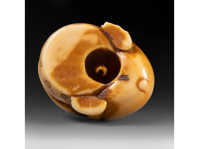 Two japanese ivory netsuke of a karako with a puppy and of a monkey with a drum, edo period, h 3,5 cm - w 3,5 cm - d 1,6 cm - 13g / h 3,5 cm - w 2 cm - d 2,5 cm - 12g (+) - afbeelding 14 van  15