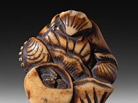 Two japanese netsuke, one in bone depicting seashells, the other in lacquered wood depicting hotei, both edo period (18th/19thc), w 4,5 cm - 19,5g / h 5,2 cm - afbeelding 2 van  6