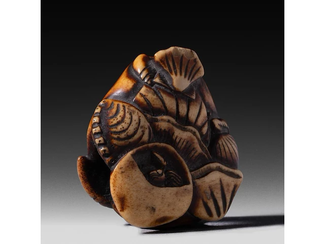 Two japanese netsuke, one in bone depicting seashells, the other in lacquered wood depicting hotei, both edo period (18th/19thc), w 4,5 cm - 19,5g / h 5,2 cm - afbeelding 3 van  6