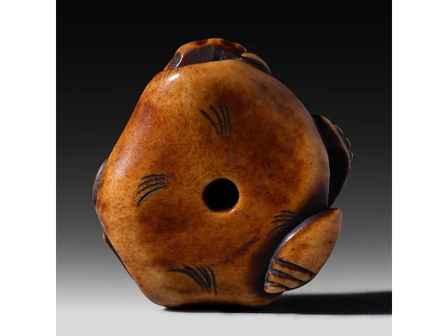 Two japanese netsuke, one in bone depicting seashells, the other in lacquered wood depicting hotei, both edo period (18th/19thc), w 4,5 cm - 19,5g / h 5,2 cm - afbeelding 5 van  6