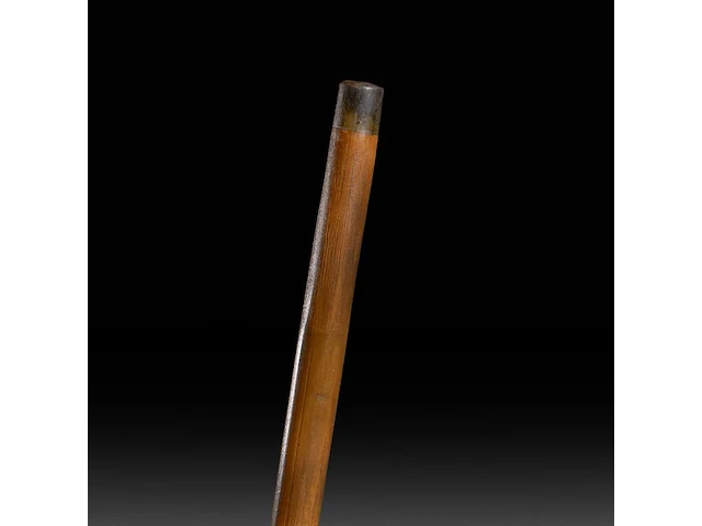 Two walking sticks with carved bone phallic endings, late 19thc - afbeelding 4 van  8