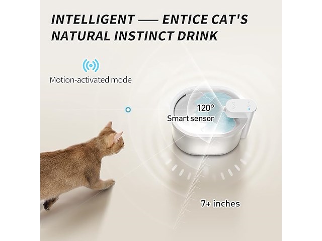 Uahpet kattenwaterfontein - afbeelding 3 van  3