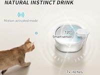 Uahpet kattenwaterfontein - afbeelding 3 van  3