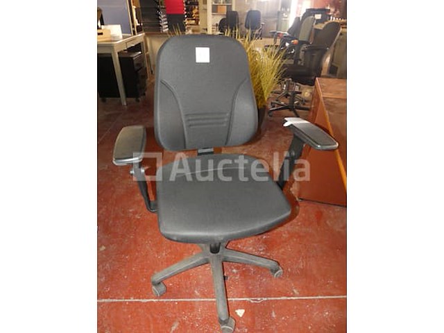 Uitvoerend ambt - afbeelding 5 van  6