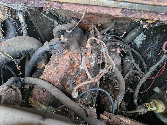 Umm alter - 1988 - afbeelding 8 van  10