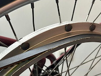 Unieke whizzer lichte motorfiets exclusief - afbeelding 9 van  12