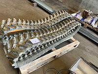 Unitrac 230x72x43 rups (2x) - afbeelding 3 van  5