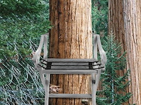 Universele vervanging voor boomstandaard - afbeelding 6 van  6