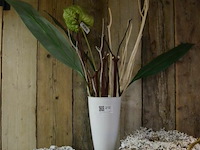 Vaas met decoratie en 2 kransen - afbeelding 1 van  5