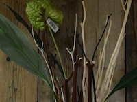 Vaas met decoratie en 2 kransen - afbeelding 3 van  5