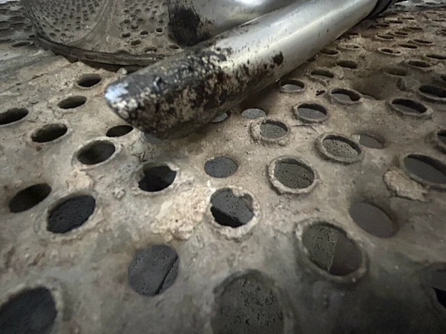 Valberg aszuiger - afbeelding 4 van  4