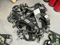 Valharnas (10x) - afbeelding 1 van  2