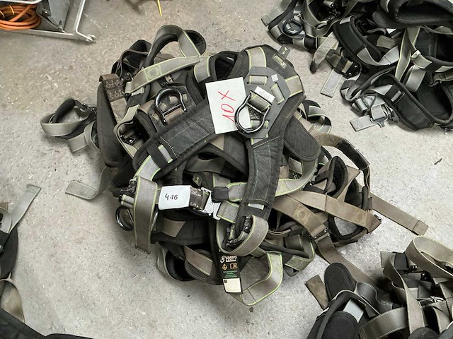 Valharnas (10x) - afbeelding 1 van  2