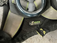 Valharnas (10x) - afbeelding 2 van  2