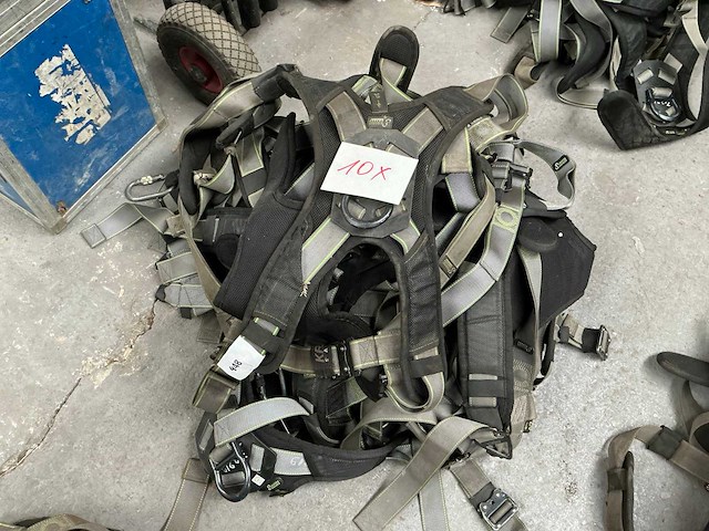 Valharnas (10x) - afbeelding 1 van  2