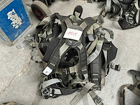 Valharnas (10x) - afbeelding 1 van  2