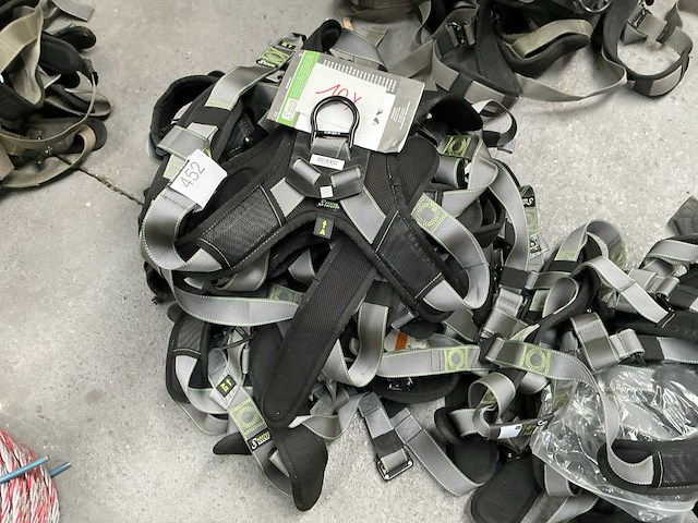 Valharnas (10x) - afbeelding 1 van  3