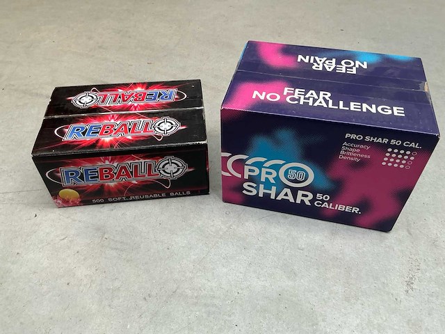 Valken paintbal en rebals spel - afbeelding 7 van  7