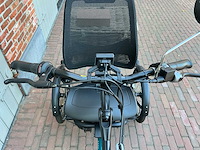 Van raam easy ride elektrische driewiel fiets - 37km - afbeelding 15 van  16