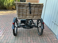 Van raam easy ride elektrische driewiel fiets - 37km - afbeelding 16 van  16