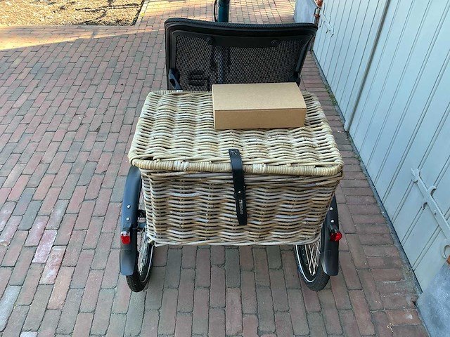Van raam easy ride elektrische driewiel fiets - 37km - afbeelding 1 van  15