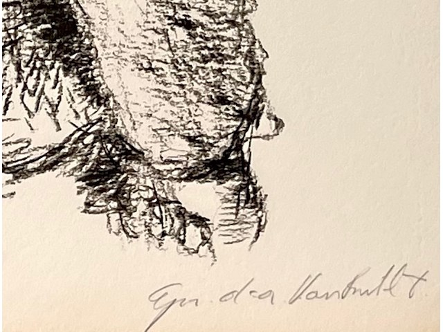 Van rintel - afbeelding 3 van  3