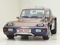 Vanclee buggy