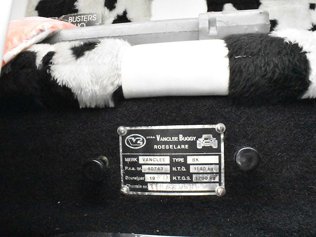 Vanclee buggy - afbeelding 13 van  46