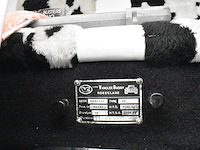Vanclee buggy - afbeelding 13 van  46