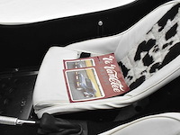 Vanclee buggy - afbeelding 14 van  46