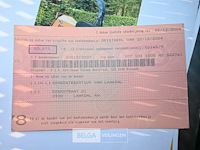 Vandaele hakselaar op aanhangwagen - afbeelding 11 van  15