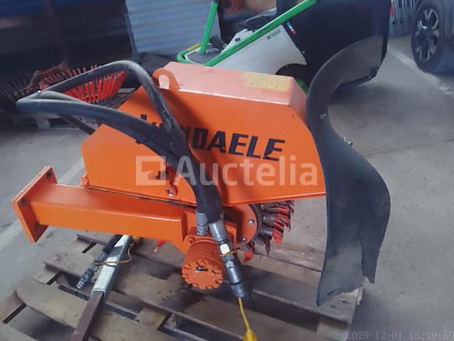 Vandaele onkruidstruik - afbeelding 1 van  4