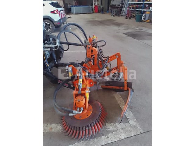 Vandaele onkruidstruik - afbeelding 2 van  4