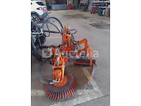 Vandaele onkruidstruik - afbeelding 2 van  4