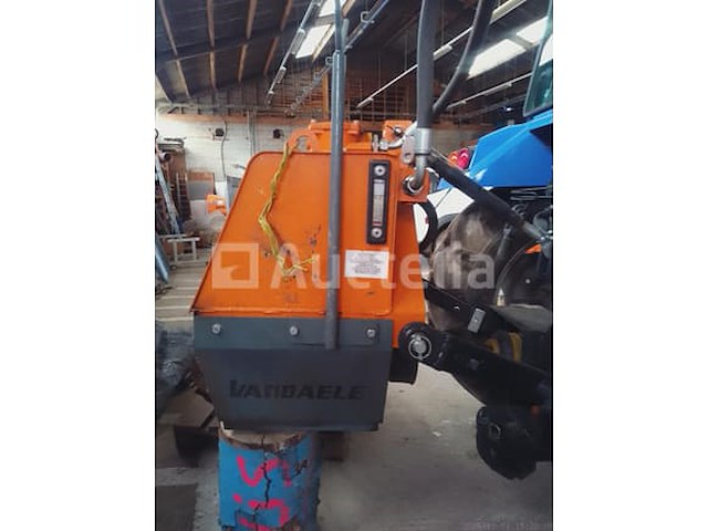 Vandaele onkruidstruik - afbeelding 3 van  4