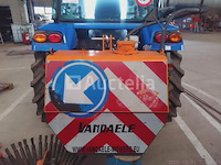 Vandaele onkruidstruik - afbeelding 4 van  4