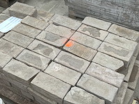 Vandersanden platina baksteen - afbeelding 2 van  2