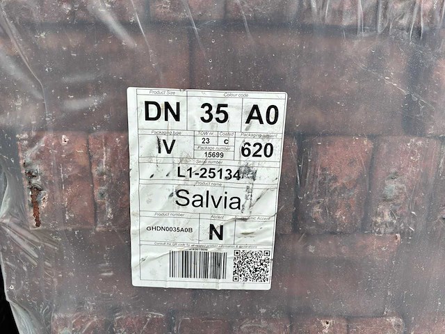 Vandersanden salvia baksteen - afbeelding 2 van  2
