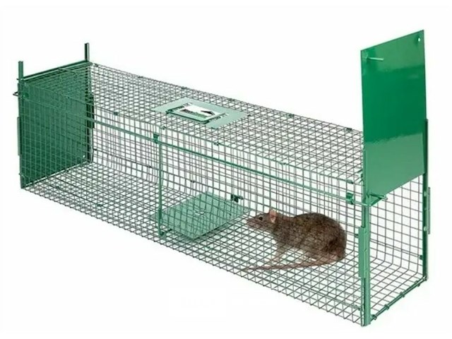 Vangkooi voor ratten van 100x25x28cm - dubbele ingang - opvouwbaar - afbeelding 1 van  3