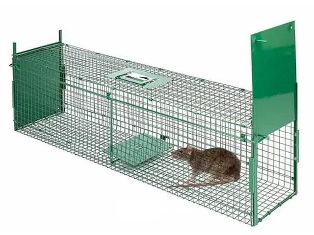 Vangkooi voor ratten van 100x25x28cm - dubbele ingang - opvouwbaar - afbeelding 2 van  3