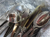 Varia bestek in koelzak - afbeelding 2 van  3