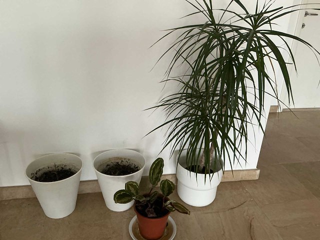 Various office inventory - afbeelding 52 van  90