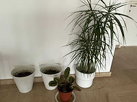 Various office inventory - afbeelding 52 van  90