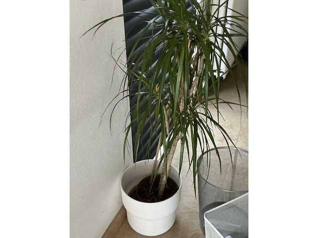 Various office inventory - afbeelding 78 van  90